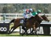  Carrera: P.Hermanos Bittini Monta: V. Alonso V Caballo: Concepcion Line